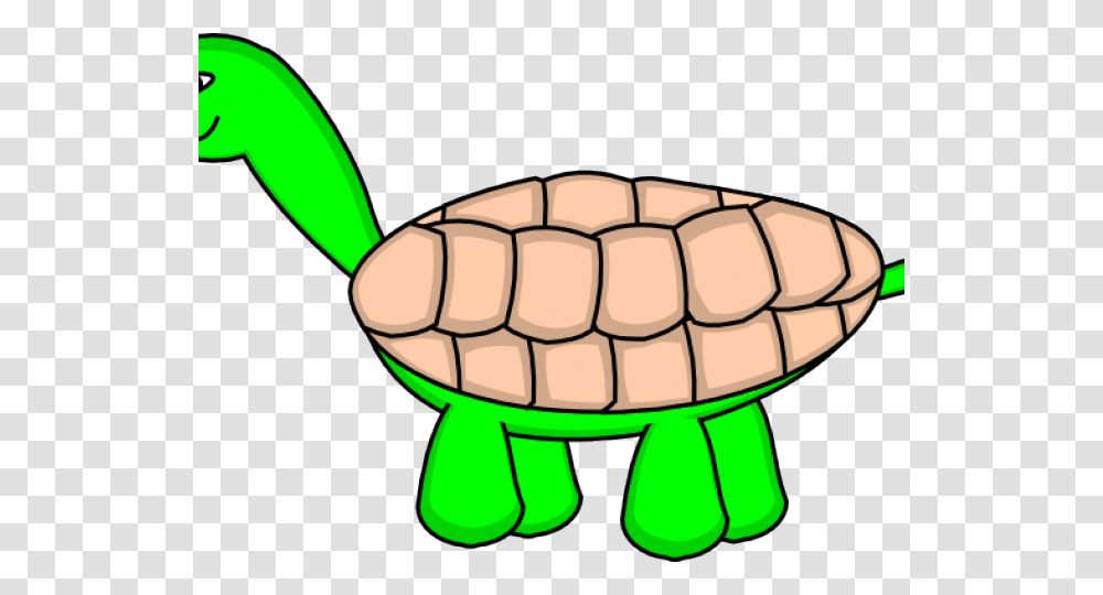 Sea Turtle Clipart Cartoonsea Cartoon Turtle, Tortoise, Reptile, Sea Life, Animal Transparent Png