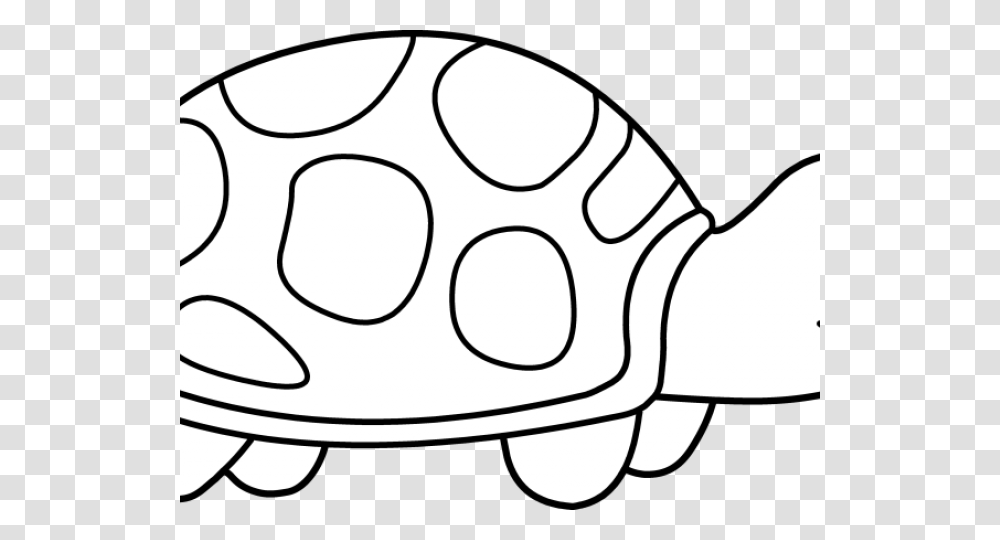 Sea Turtle Clipart Clip Art, Egg, Food, Helmet Transparent Png