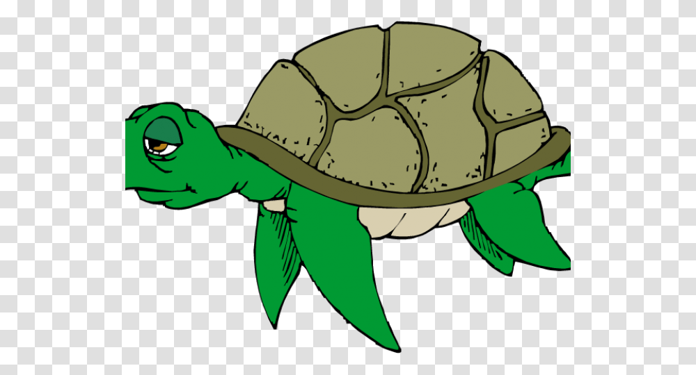 Sea Turtle Clipart Cute Sea Turtle Clipart, Apparel, Helmet, Animal Transparent Png