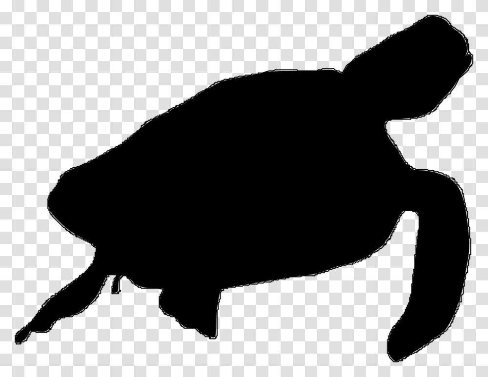 Sea Turtle Clipart Kura Kura, Gray Transparent Png