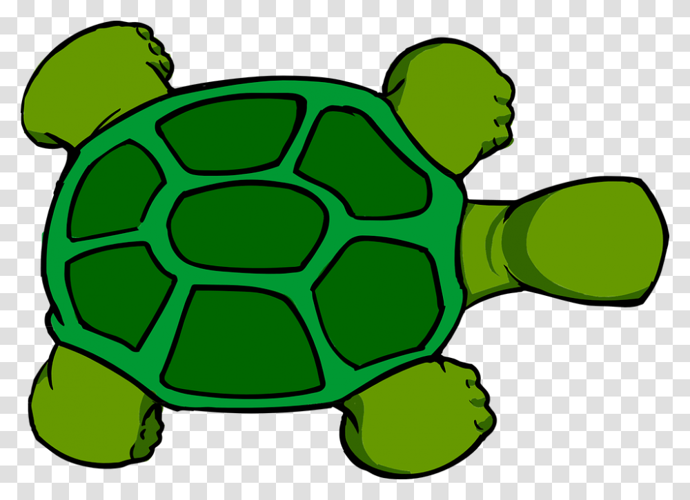 Sea Turtle Clipart Kura Kura, Green, Soccer Ball, Sphere Transparent Png