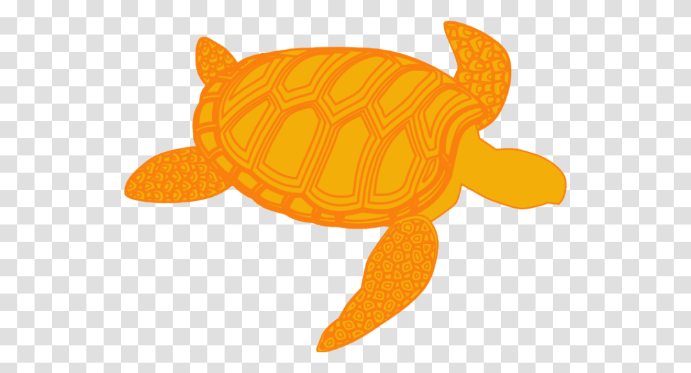Sea Turtle Clipart Olive Ridley Cartoon Sea Turtle, Reptile, Sea Life, Animal, Tortoise Transparent Png