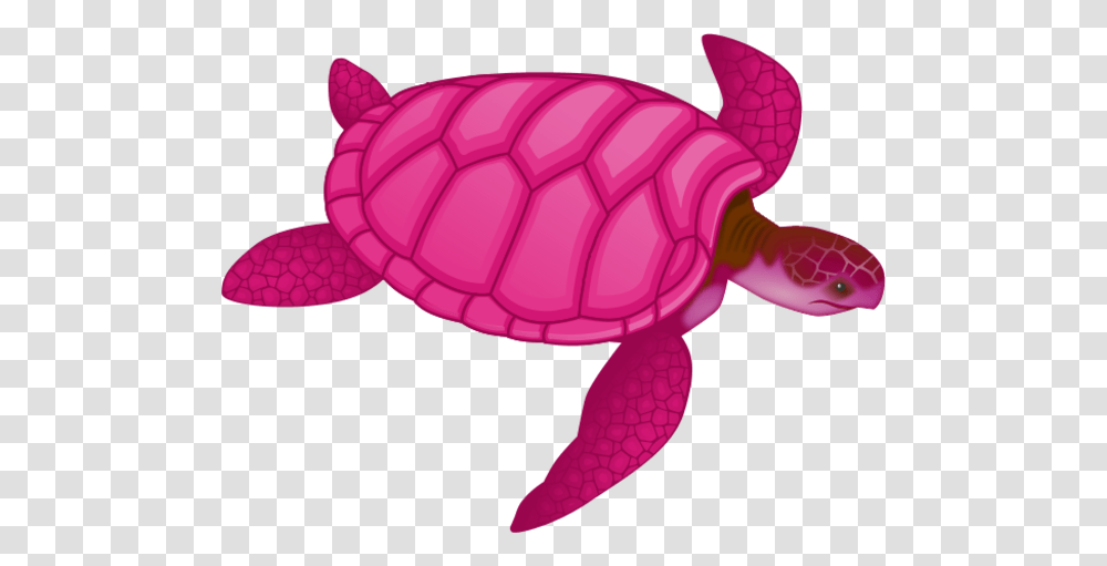 Sea Turtle Clipart Pink, Tortoise, Reptile, Sea Life, Animal Transparent Png