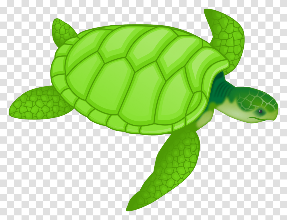 Sea Turtle Clipart, Reptile, Sea Life, Animal, Tortoise Transparent Png