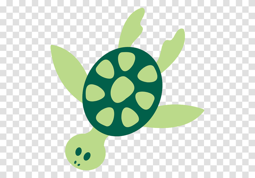 Sea Turtle Clipart Sea Lion, Green, Plant, Dynamite Transparent Png