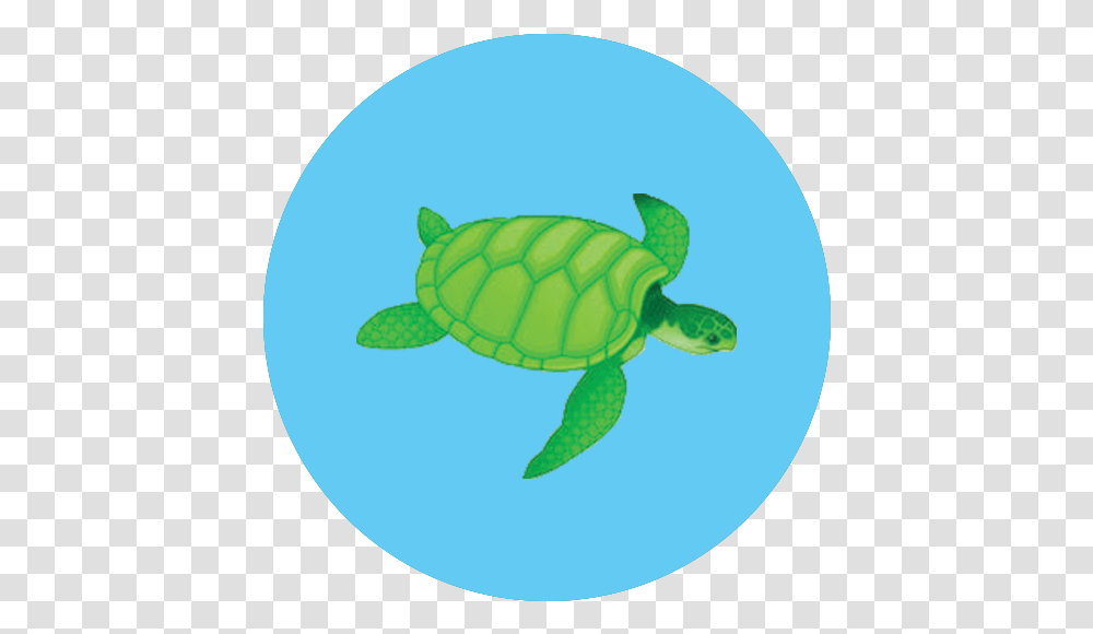 Sea Turtle Icon Green Sea Turtle, Reptile, Sea Life, Animal, Tortoise Transparent Png