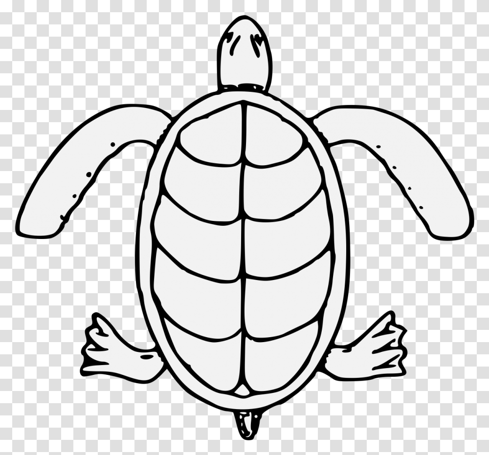 Sea Turtle Kemp's Ridley Sea Turtle, Animal, Sea Life, Reptile, Tortoise Transparent Png