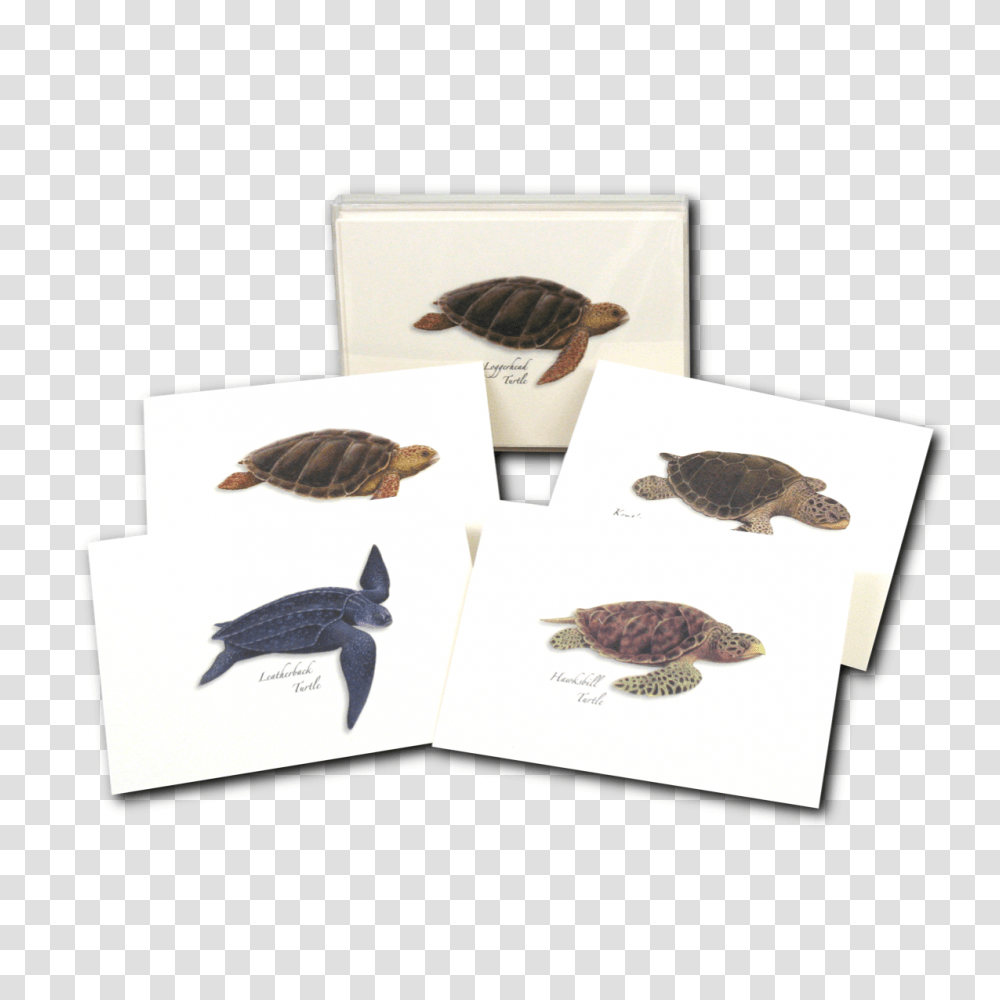 Sea Turtle Leatherback Sea Turtle, Bird, Animal, Sea Life, Reptile Transparent Png