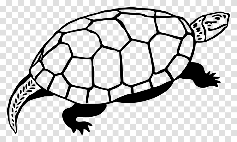 Sea Turtle Reptile Line Art Drawing Gopher Tortoise, Gray, World Of Warcraft Transparent Png