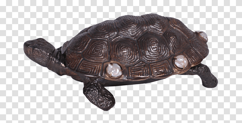 Sea Turtle, Reptile, Sea Life, Animal, Tortoise Transparent Png