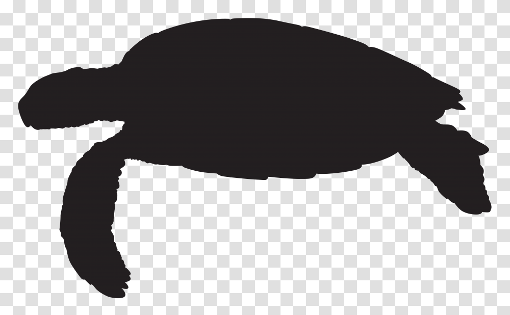 Sea Turtle Silhouette Clip Art, Gray, Face, Screen Transparent Png