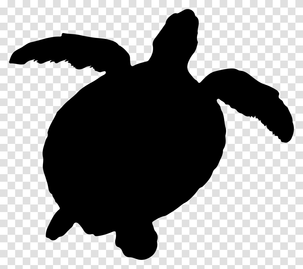 Sea Turtle Silhouette, Sea Life, Animal, Person, Human Transparent Png