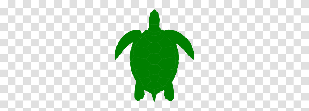 Sea Turtle Silhouette, Water, Person, Human, Animal Transparent Png
