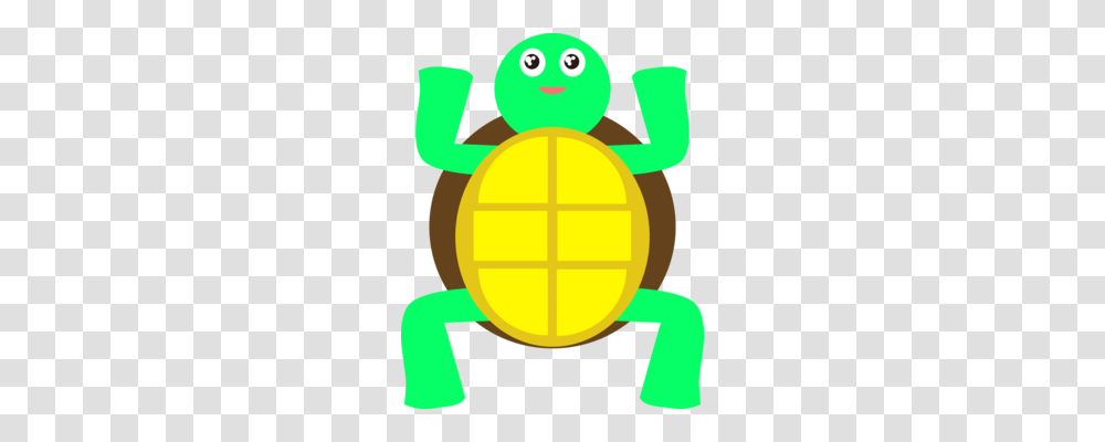 Sea Turtle Tortoise Cartoon Animated Series, Animal, Outdoors, Amphibian, Wildlife Transparent Png