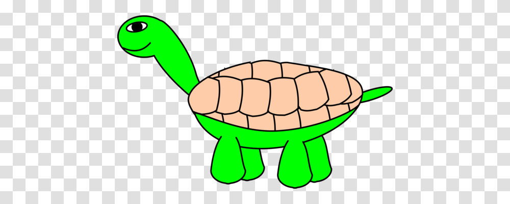 Sea Turtle Tortoise Cartoon Animated Series, Animal, Soccer Ball, Football, Team Sport Transparent Png