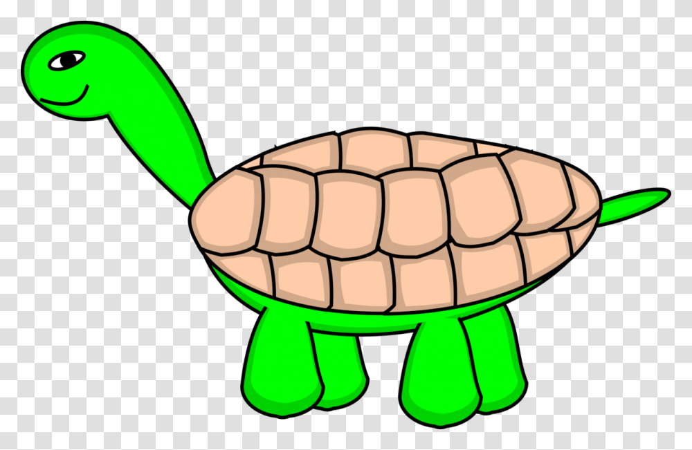 Sea Turtle Tortoise Cartoon Animated Series, Soccer Ball, Football, Team Sport, Sports Transparent Png