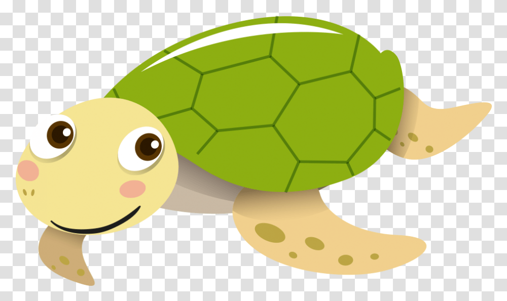Sea Turtle Tortoise Portable Network Graphics Vector Sea Turtle Cartoon, Soccer Ball, Football, Team Sport, Sports Transparent Png