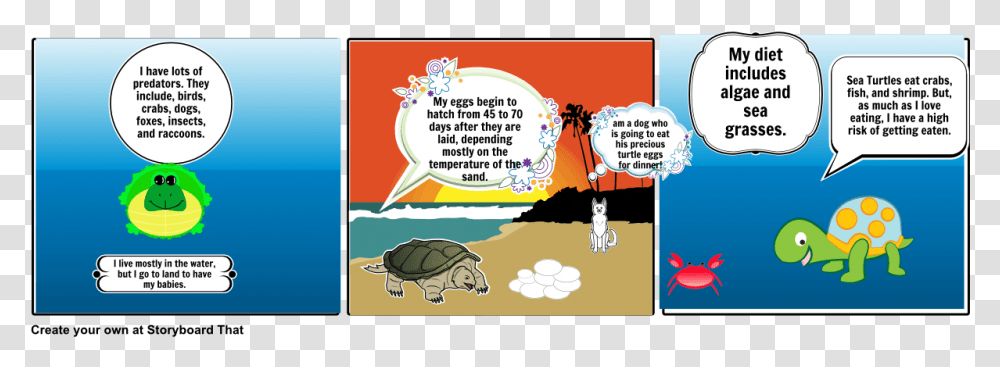 Sea Turtle, Tortoise, Reptile, Sea Life, Animal Transparent Png