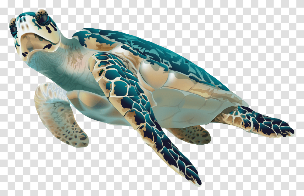 Sea Turtle Transparent Png