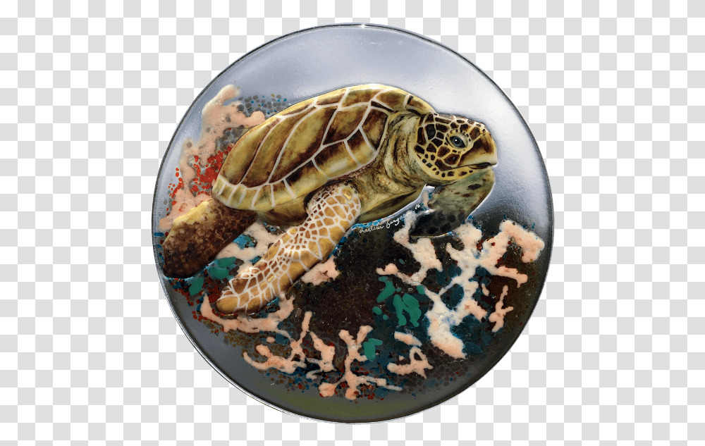 Sea Turtle With Coral In Browns Kemp's Ridley Sea Turtle, Reptile, Sea Life, Animal, Tortoise Transparent Png