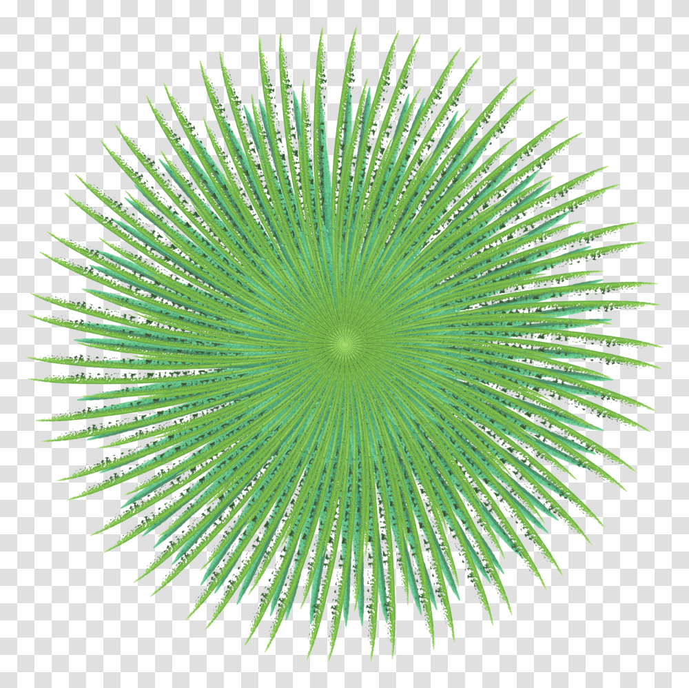 Sea Urchin Clipart Artificial Turf Transparent Png