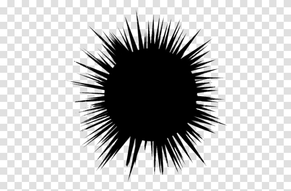 Sea Urchin Vector, Silhouette, Fireworks, Night, Outdoors Transparent Png
