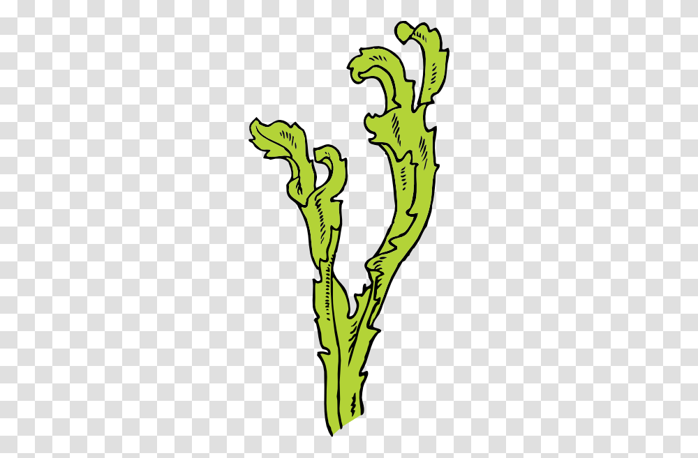 Sea Weed Clip Art For Web, Plant, Green, Flower, Word Transparent Png