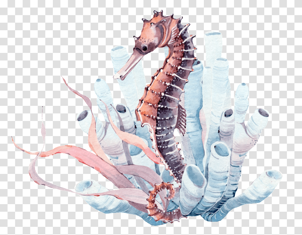 Seabed Seahorse Watercolor Coral Seahorse, Sea Life, Animal, Mammal, Person Transparent Png