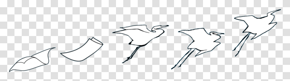 Seabird, Animal, Crane Bird, Waterfowl, Pelican Transparent Png