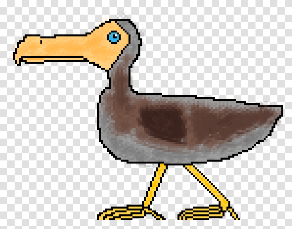Seabird, Animal, Dodo, Construction Crane, Beak Transparent Png