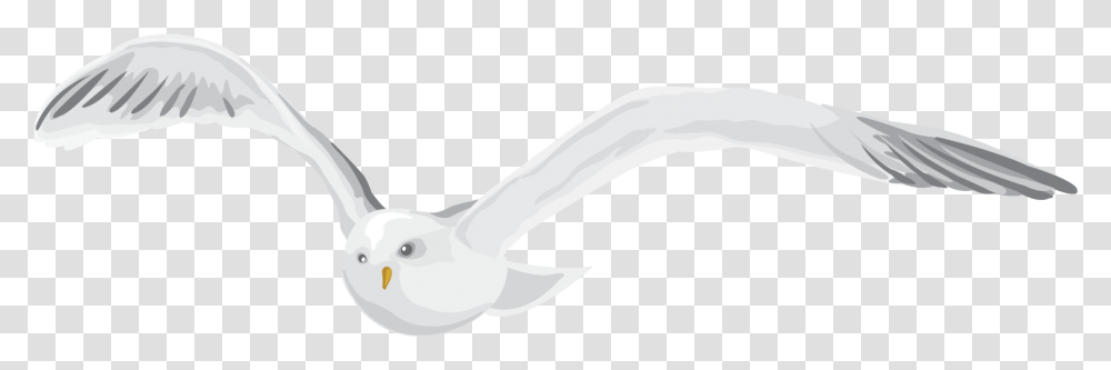 Seabird, Animal, Flying, Mammal, Sea Life Transparent Png