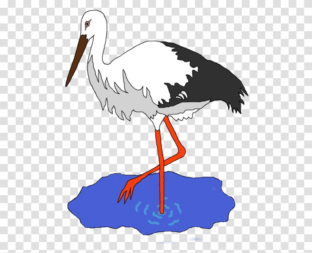 Seabirdwater Birdciconiiformes Crane Bird Clipart, Stork, Animal, Pelican, Beak Transparent Png