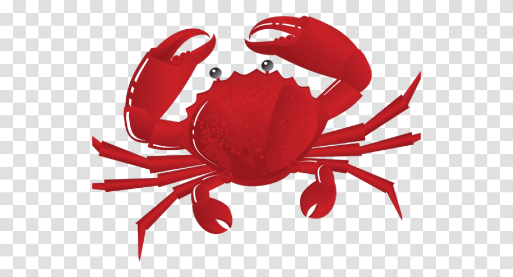 Seafood Clipart, Crab, Sea Life, Animal, Helmet Transparent Png