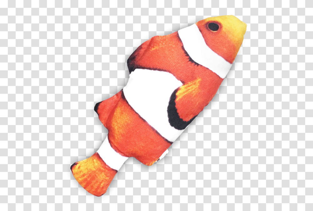 Seafood Cuddle FishData Rimg LazyData Rimg Coral Reef Fish, Amphiprion, Sea Life, Animal, Person Transparent Png