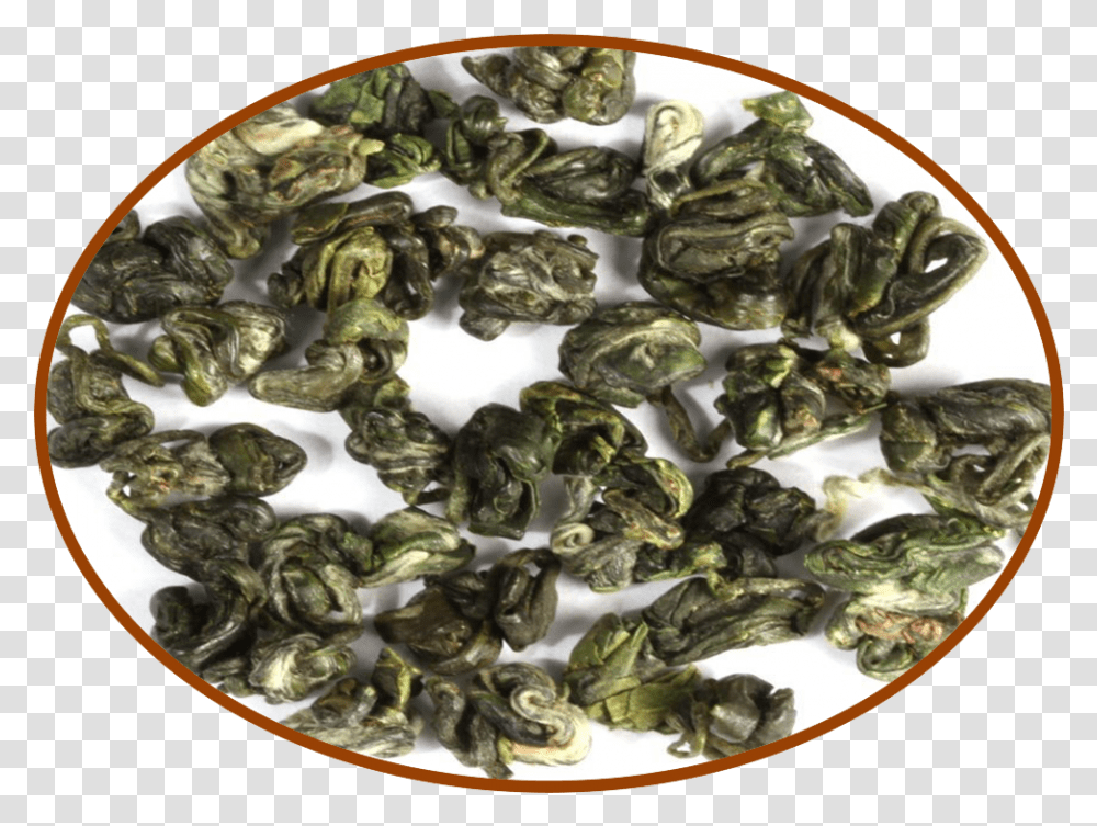 Seafood, Plant, Dish, Meal, Spinach Transparent Png