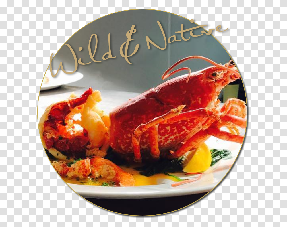 Seafood Restaurnt Wexford Crab, Lobster, Sea Life, Animal, Meal Transparent Png