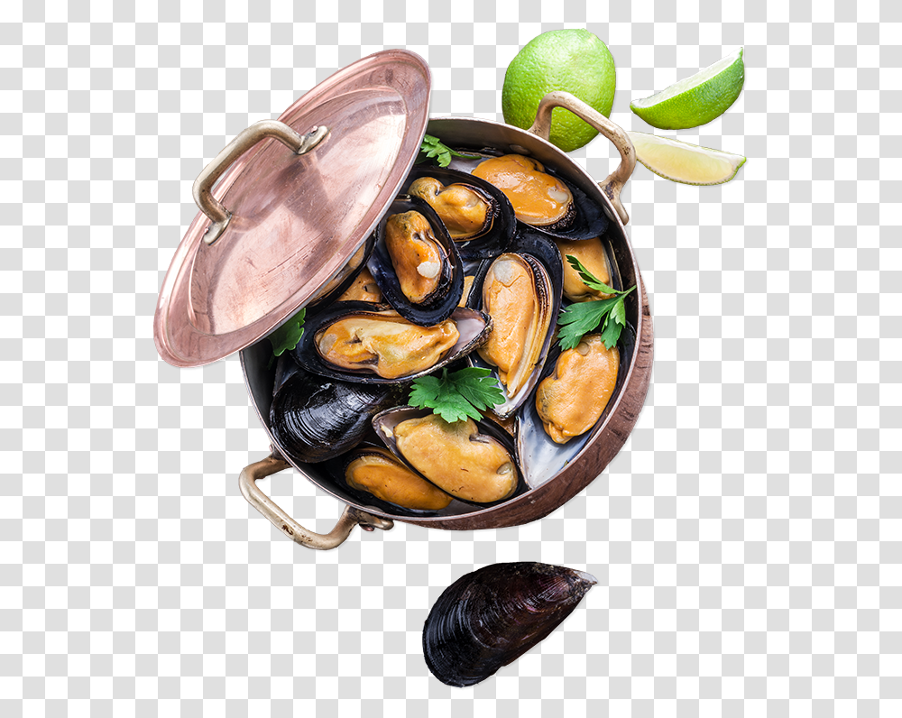 Seafood Top Oysters Mussels Bowl, Clam, Seashell, Invertebrate, Sea Life Transparent Png