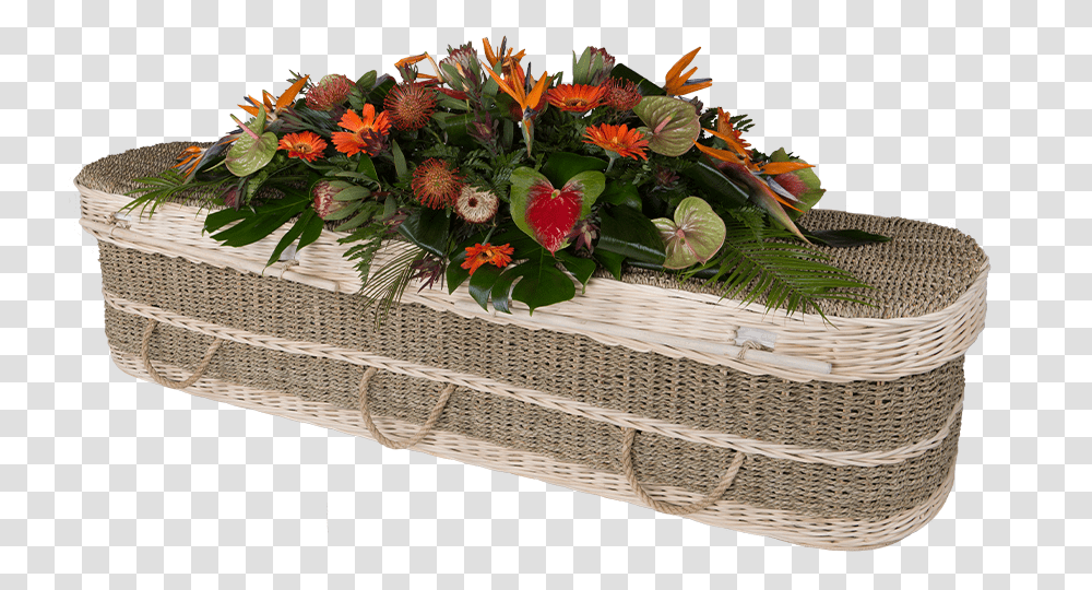 Seagrass Coffin, Plant, Flower, Blossom, Floral Design Transparent Png