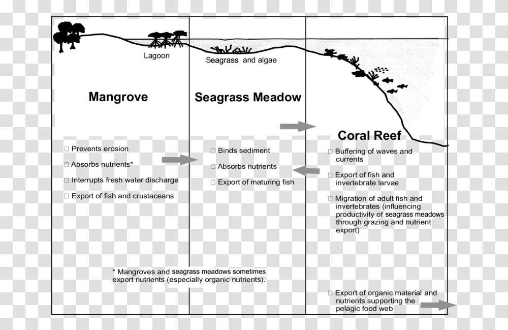 Seagrass Coral Reef Mangroves Chart, Flyer, Plot, Diagram Transparent Png