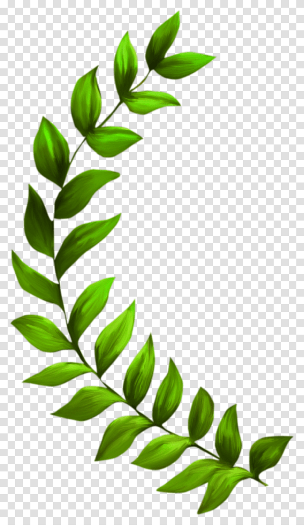 Seagrass Plant Seaweed Clip Art, Green, Leaf, Vase, Jar Transparent Png