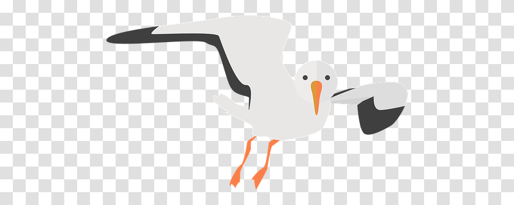 Seagull Nature, Bird, Animal, Axe Transparent Png