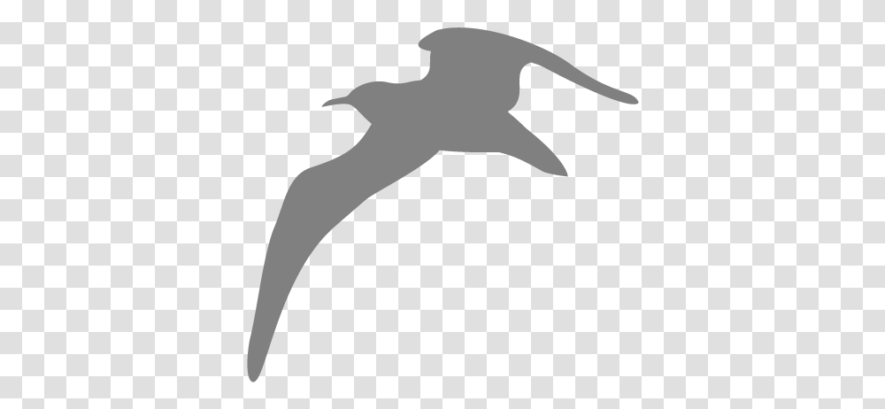Seagull Animal Flying Bird Seagull Seagul, Silhouette, Mammal, Stencil, Mustache Transparent Png