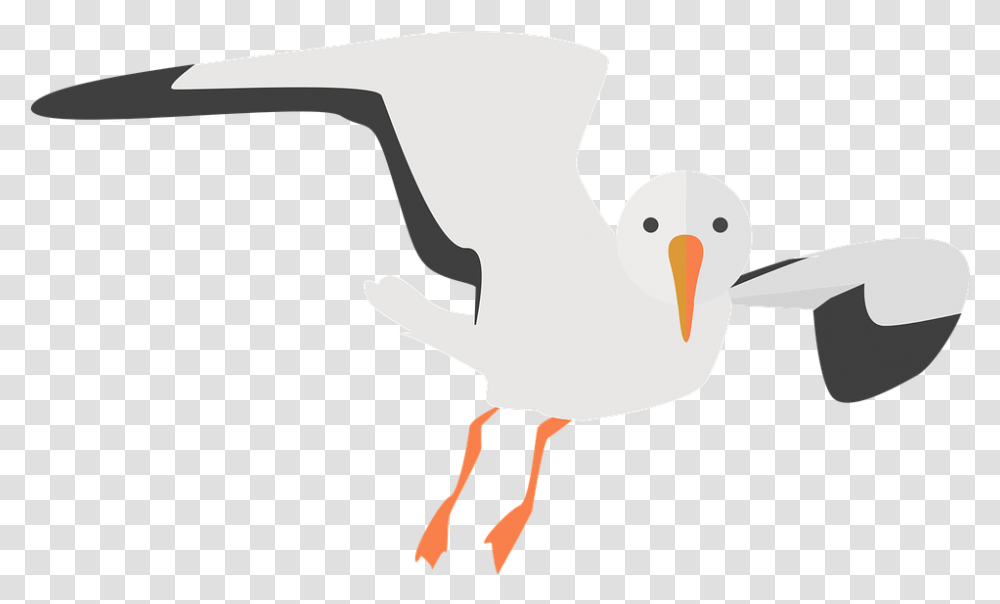 Seagull Animal Water Bird Cartoon Sea Bird, Axe, Tool, Beak, Dodo Transparent Png