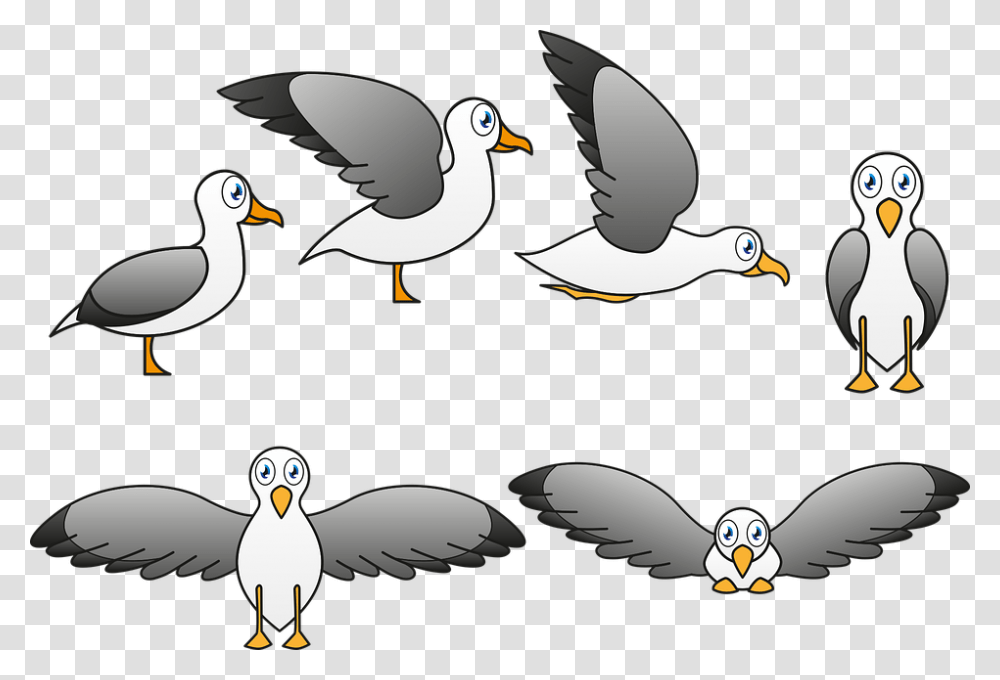 Seagull Ave Fly Caricature Child Pen Fauna Cartoon, Bird, Animal, Eagle, Penguin Transparent Png