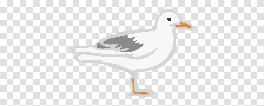 Seagull Bird Flat Animal & Svg Vector File European Herring Gull, Axe, Tool, Beak, Hammer Transparent Png