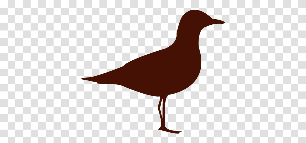 Seagull Bird Silhouette & Svg Vector File Silueta De Una Gaviota, Animal, Beak, Partridge, Quail Transparent Png