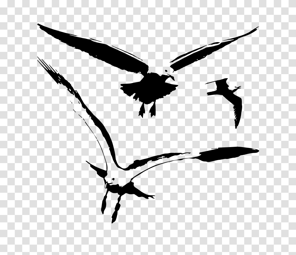 Seagull Birds Vector Silhouette Free Vector Silhouette Graphics, Nature, Outer Space, Astronomy, Universe Transparent Png
