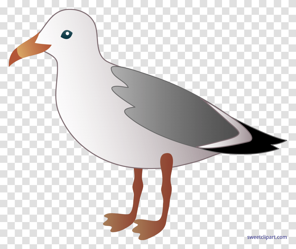 Seagull Clip Art, Bird, Animal, Lamp, Pigeon Transparent Png
