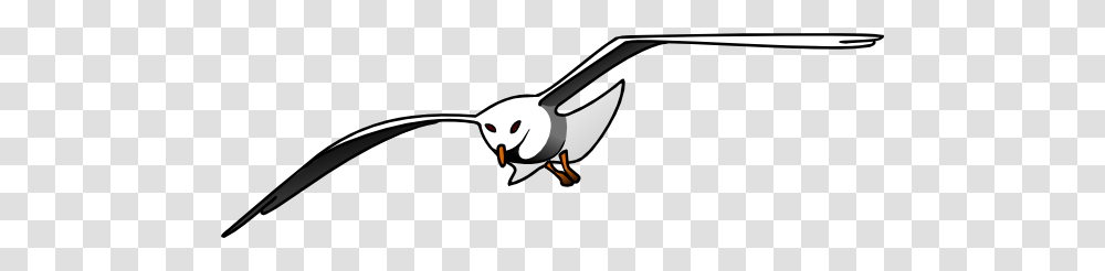 Seagull Clip Art Free Vector, Bird, Animal, Penguin, Scissors Transparent Png