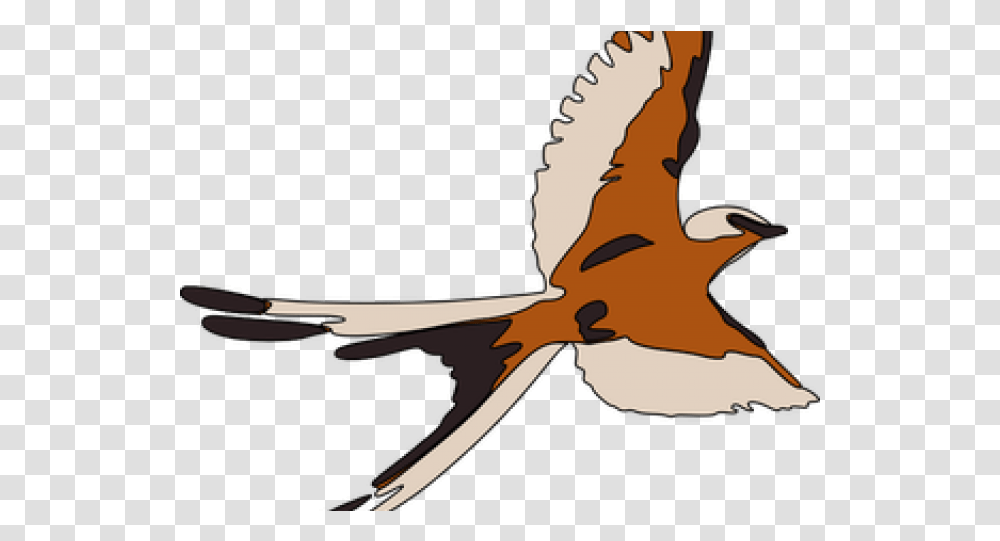 Seagull Clipart 3 Bird Download Full Size Clipart Bird Flying Gif, Animal, Person, Sparrow, Partridge Transparent Png